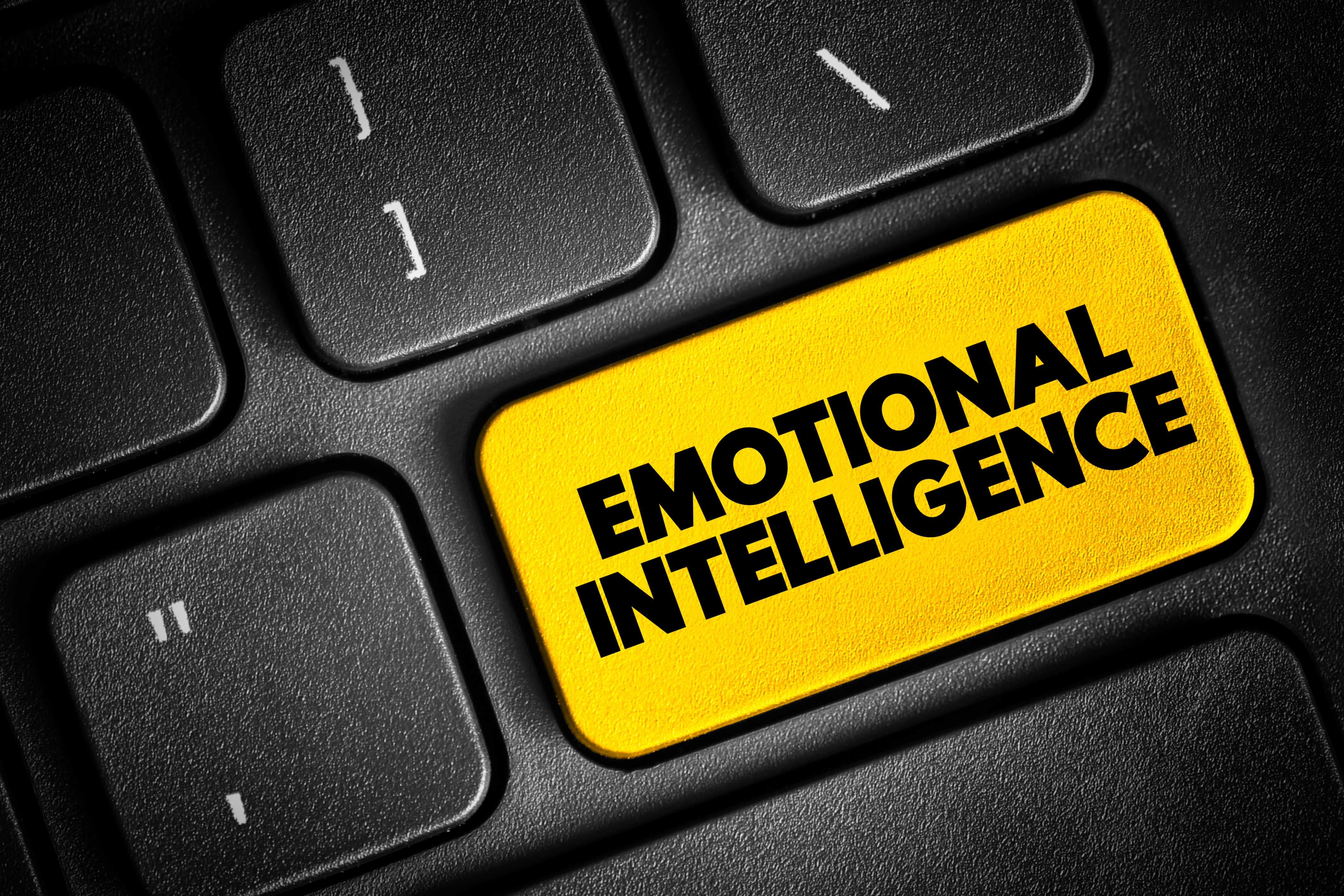 Emotional Intelligence in the Company Workshop