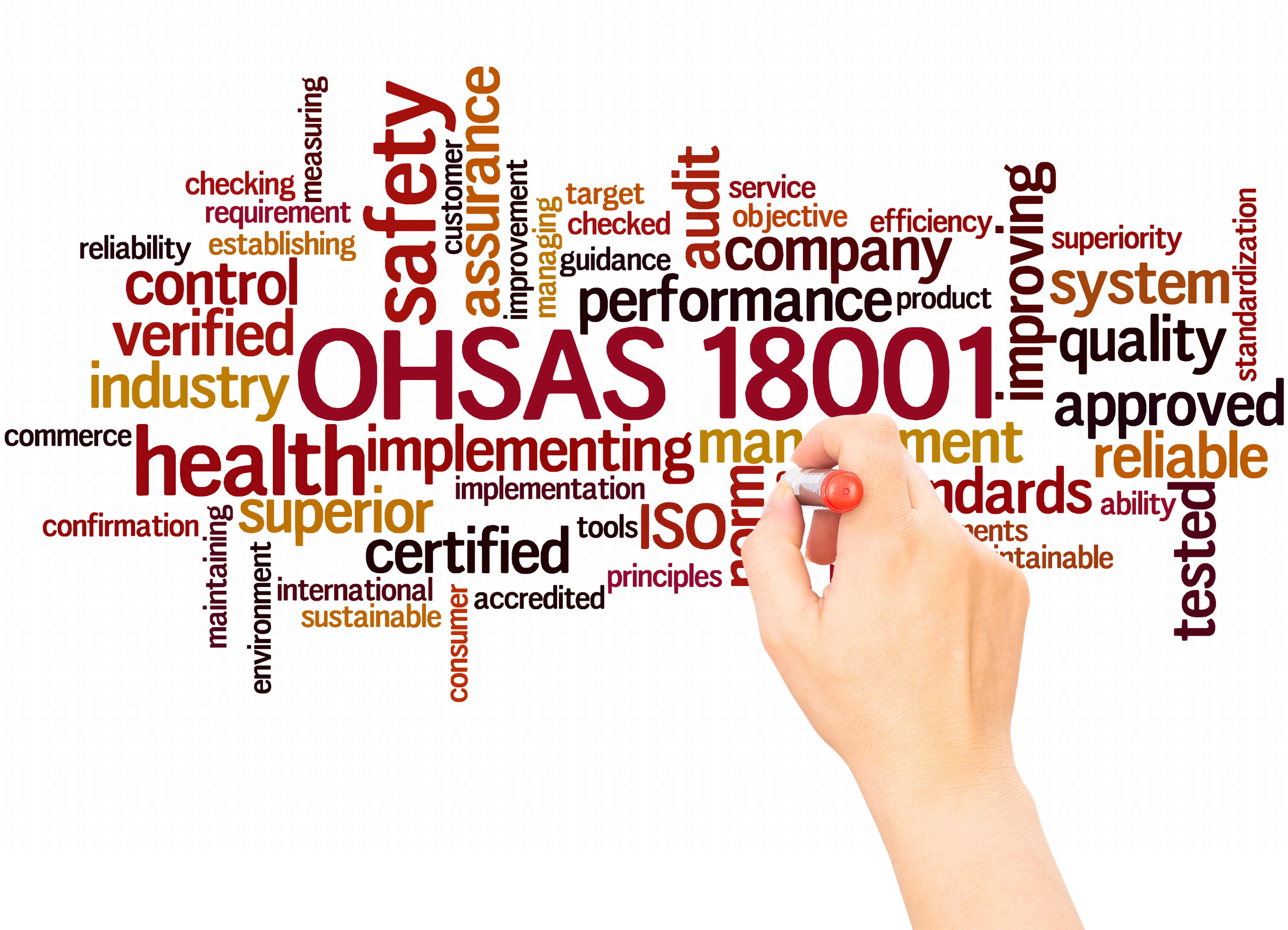 Structuring of the Management System OHSAS 18001: 2015 Workshop