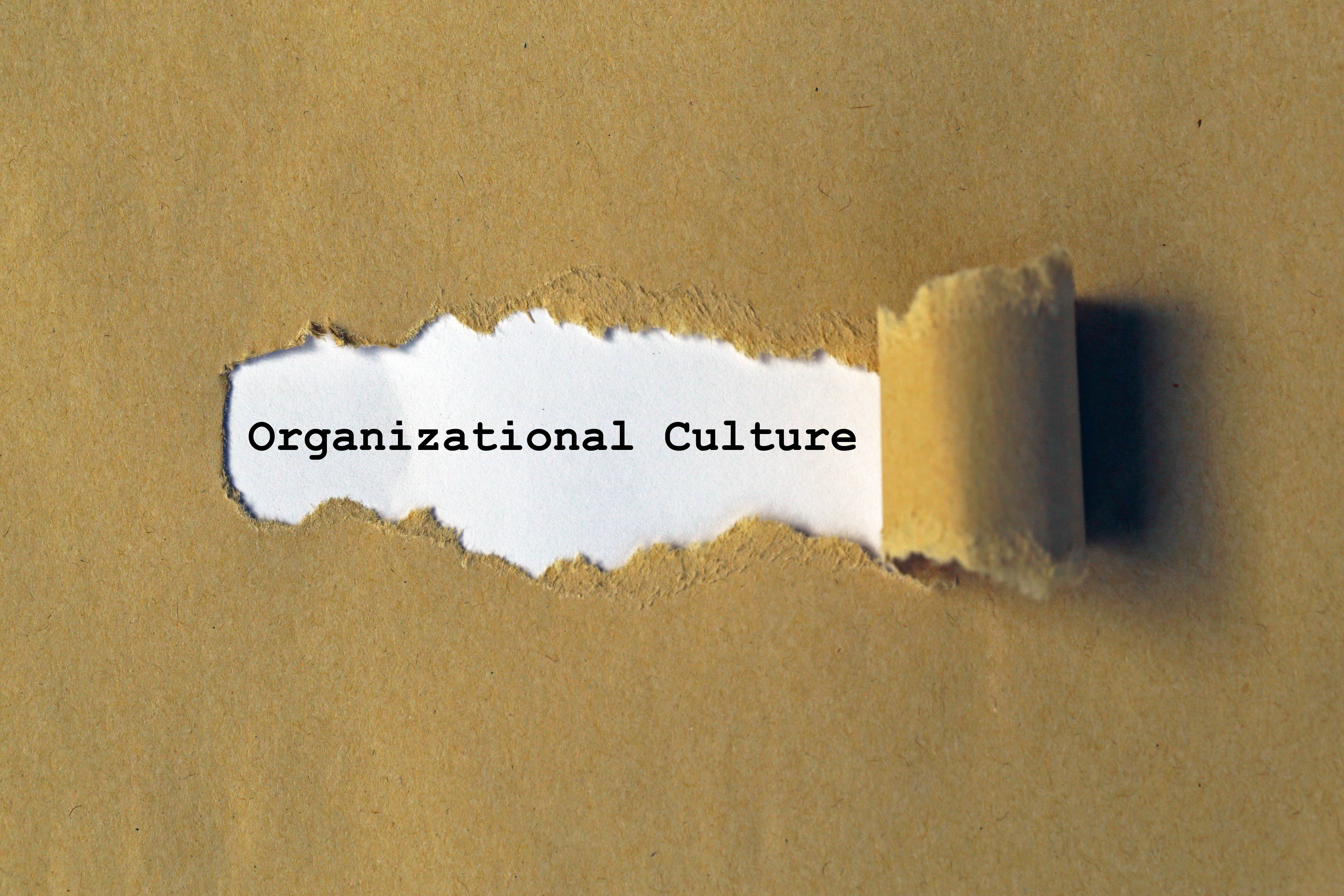 Building Organizational Culture Course
